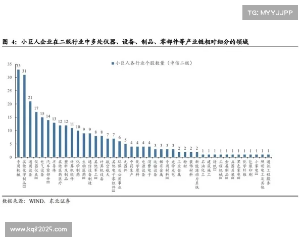 体育制造业迈向专精特新路径 强化产业链协同效能